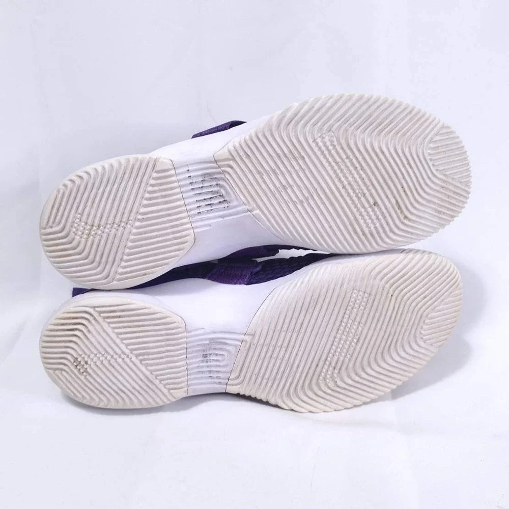 Nike LeBron Soldier 12 XII‎ SFG Purple Silver Basketball Shoes Sz 13.5 Sneakers